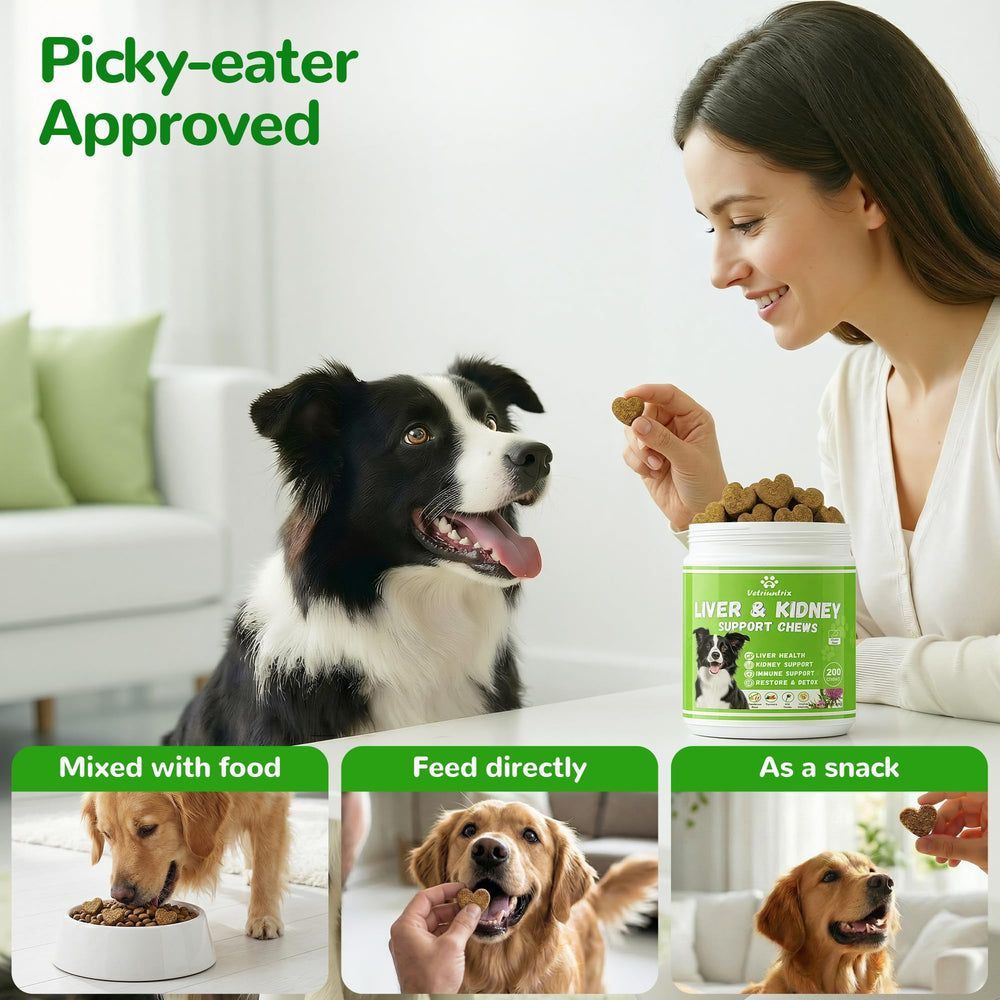 Vetriuntrix liver support chews offered to a happy dog during daily routine.
