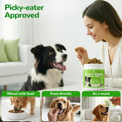 Vetriuntrix liver support chews offered to a happy dog during daily routine.