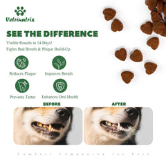 Vetriuntrix chews beside a dog bowl show easy daily dental care.