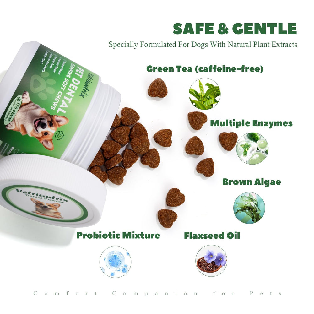 Close-up of Vetriuntrix ingredients highlighting natural plant-based formula.