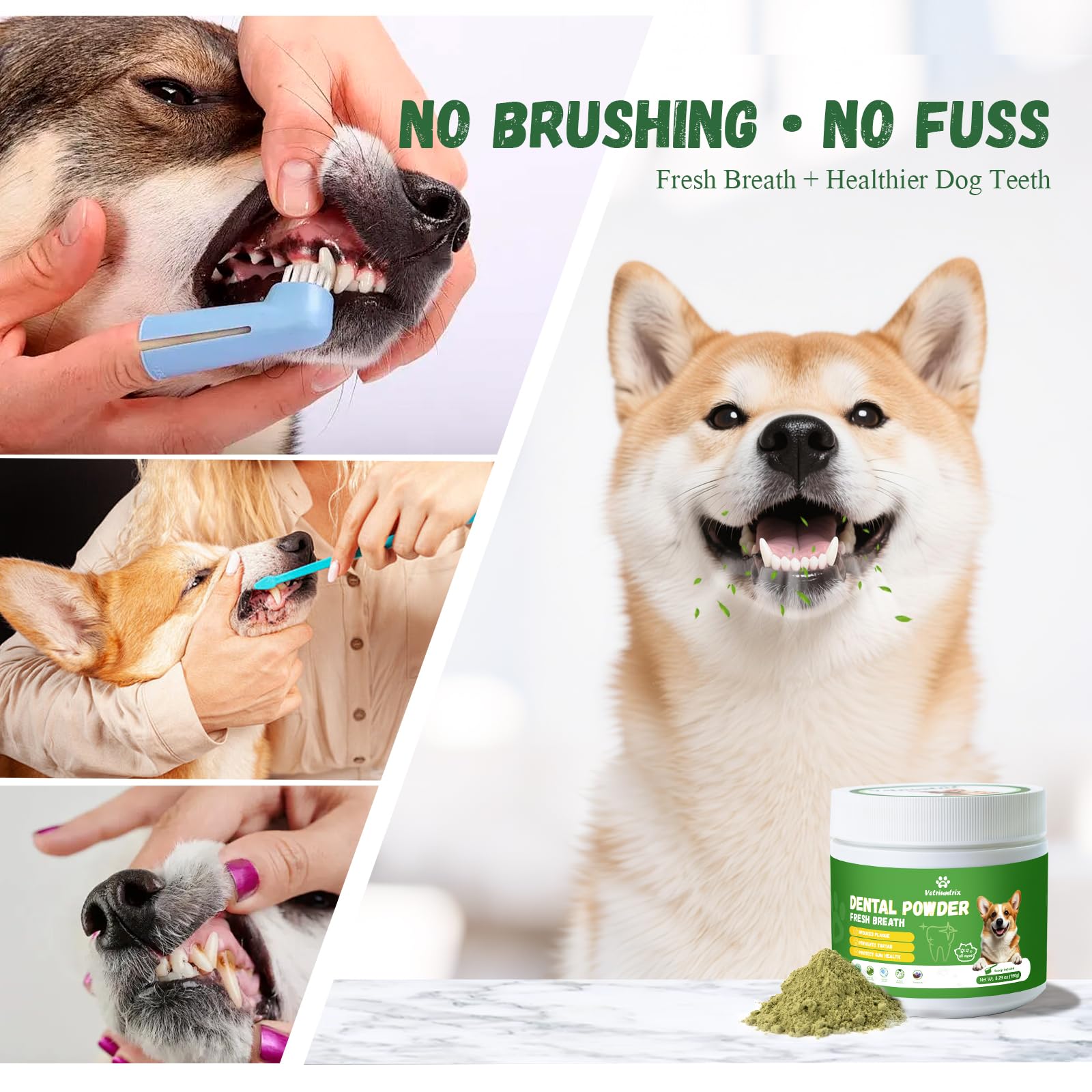 Happy dog during feeding after Vetriuntrix powder added to meals.