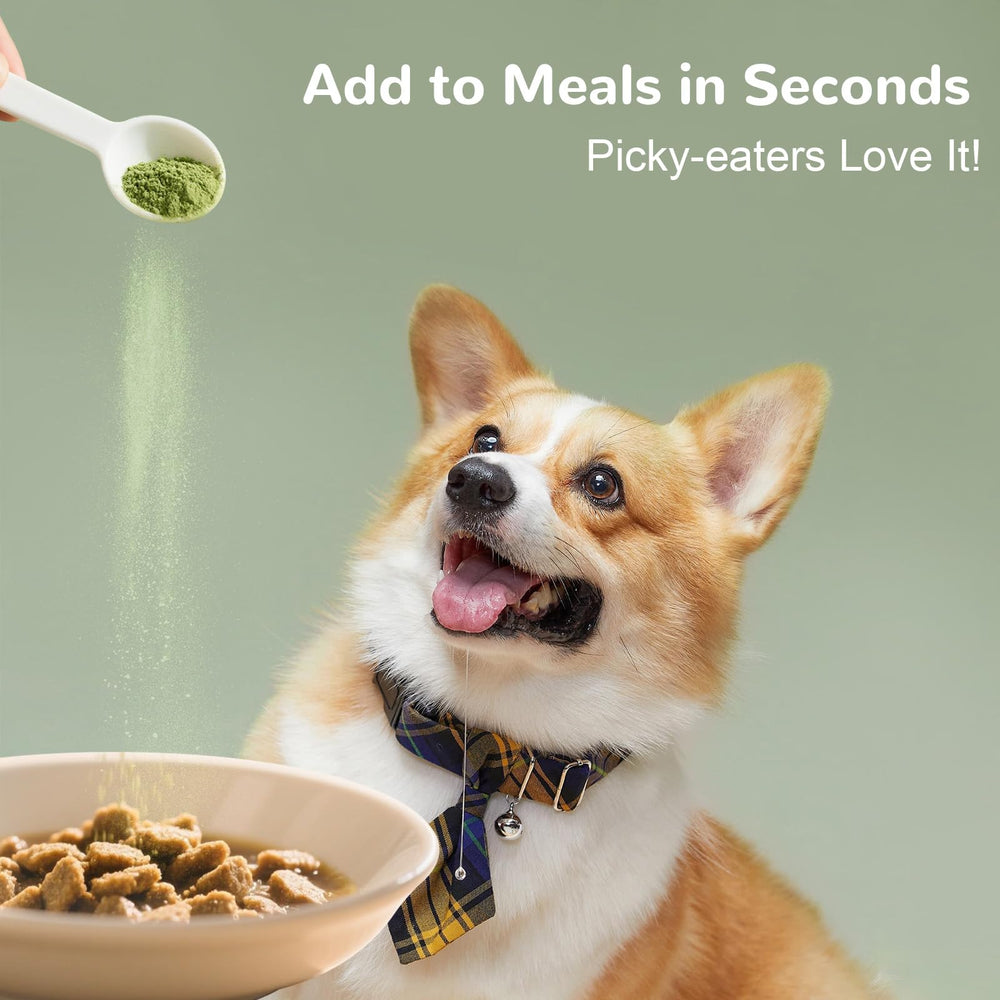 Vetriuntrix Dog Teeth Cleaning Powder used to promote fresh breath in dogs.