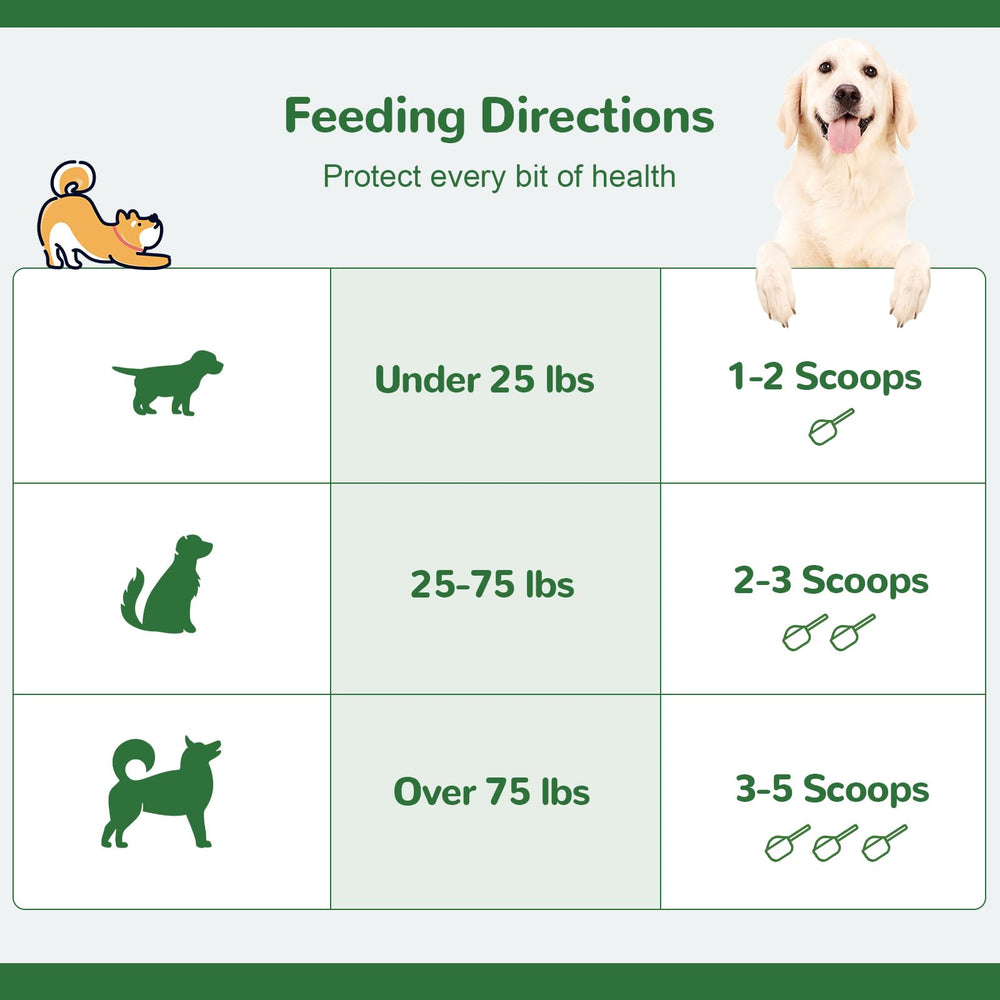 Serving spoon with Vetriuntrix powder on a dog food bowl for daily care.