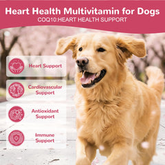 Closeup of Vetriuntrix Heart Support chews showing texture for picky eaters.