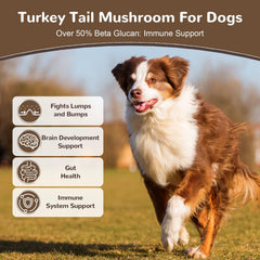 Vetriuntrix Turkey Tail label closeup shows premium organic blend for pets.