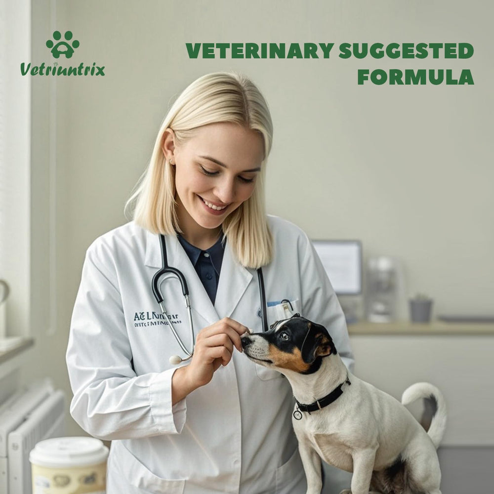 Vetriuntrix turmeric root component for comfort and irritation support.