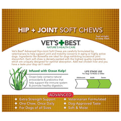 Dog enjoying Vet's Best Advanced Hip & Joint Soft Chews as a tasty daily treat