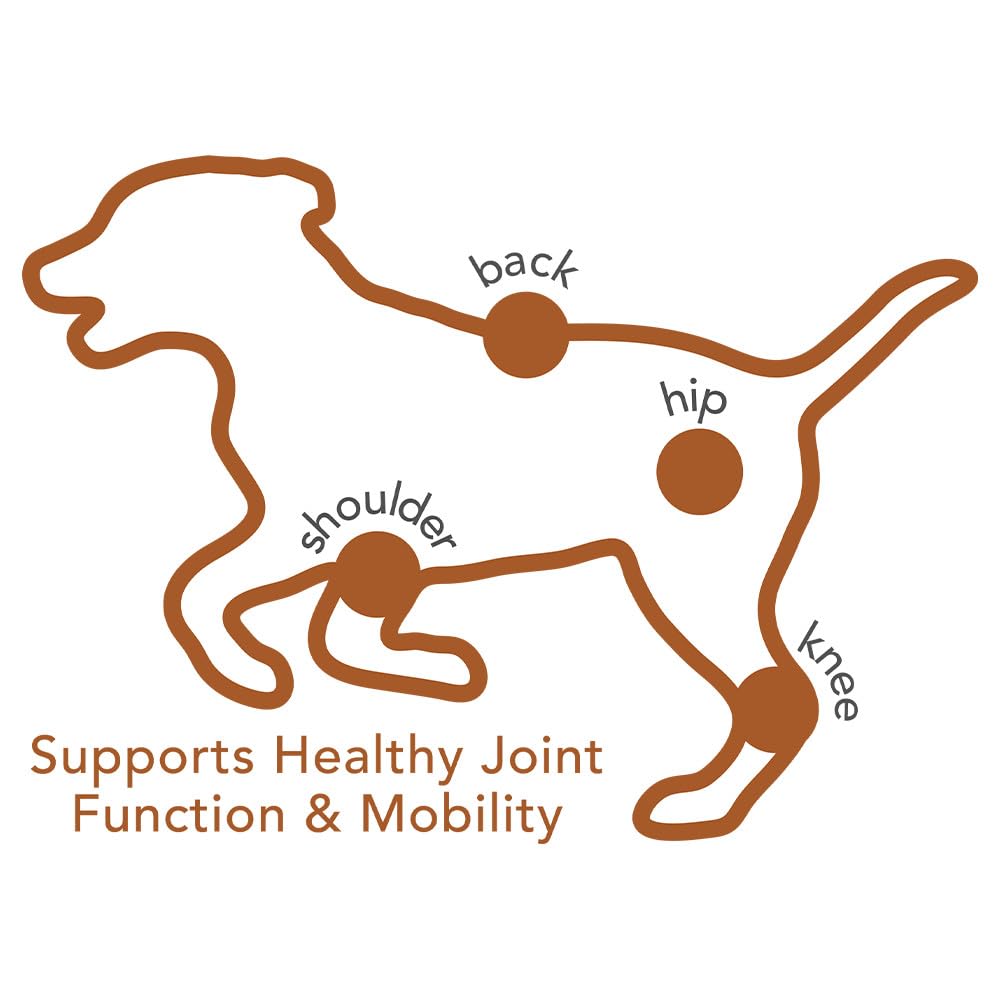 Packaging of Vet's Best Advanced Hip & Joint Soft Chews with NASC seal