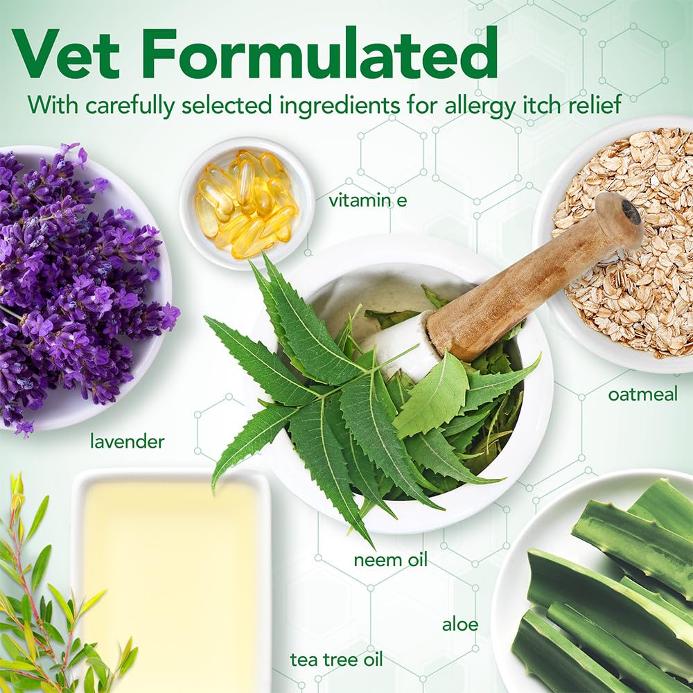 Vet's Best allergy itch relief shampoo tea tree oil helps keep skin balanced