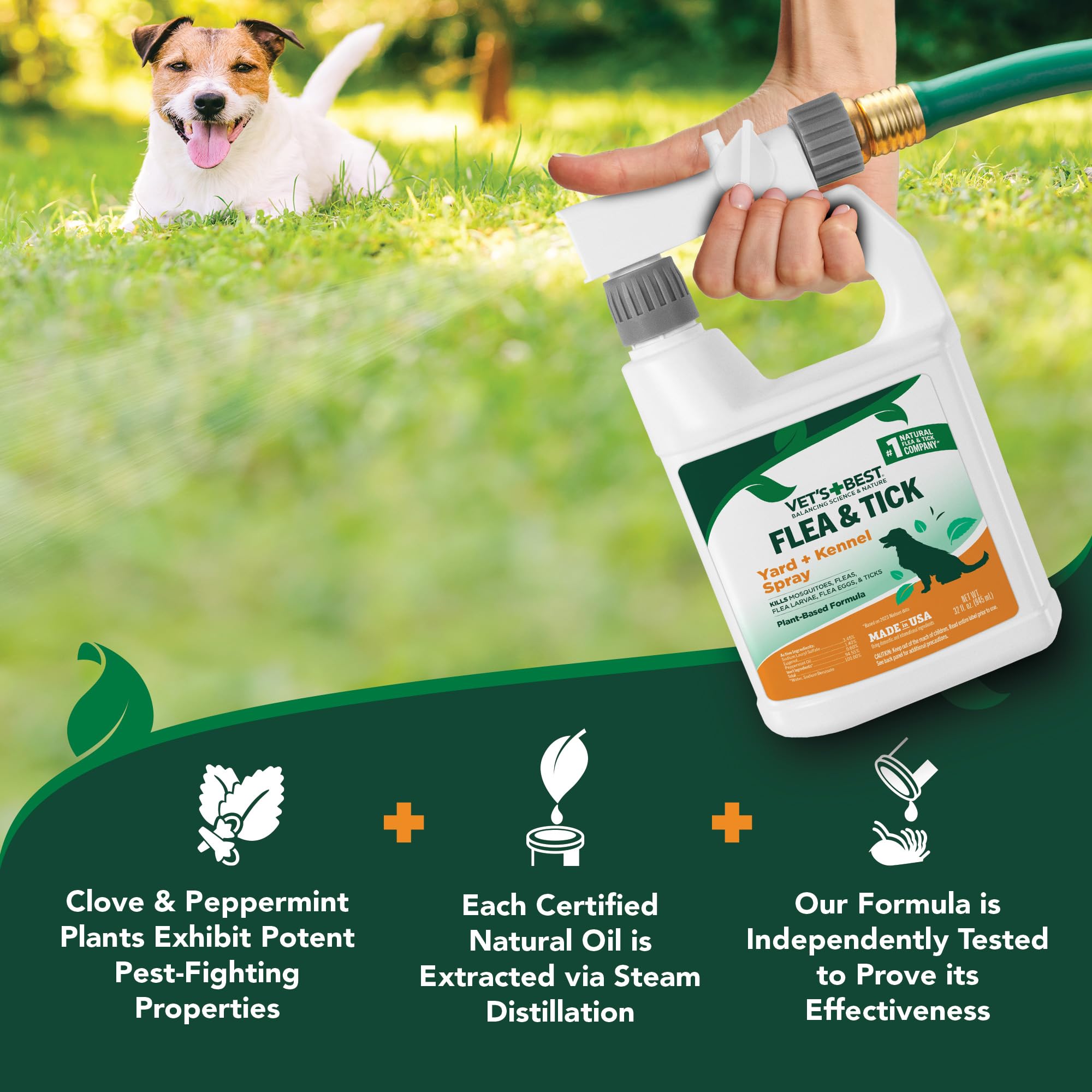 Applying Vet's Best to turf to reduce fleas and ticks around pet areas.