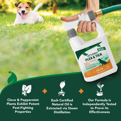 Applying Vet's Best to turf to reduce fleas and ticks around pet areas.