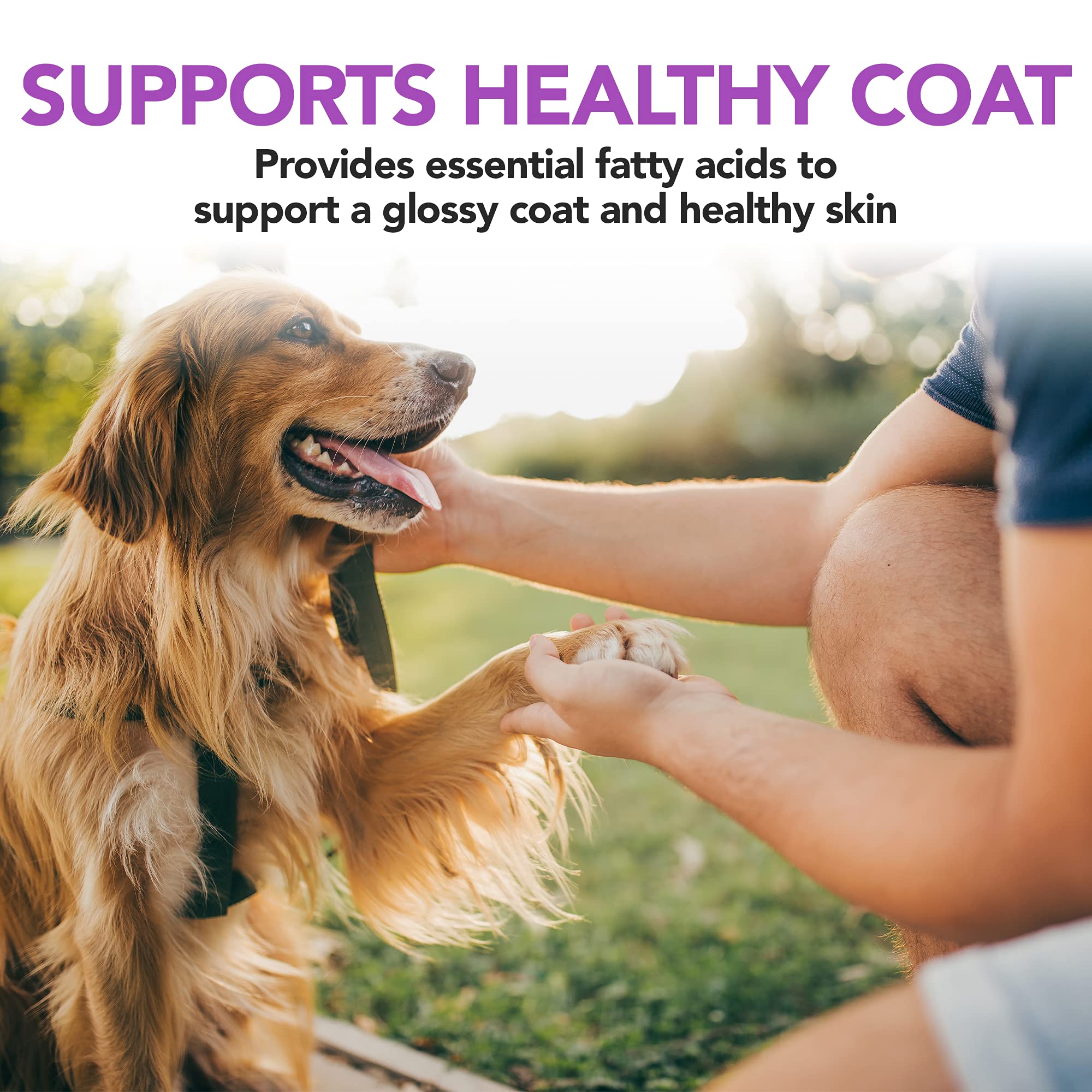 Vets Best Brewers Yeast Garlic Chews glossy coat benefit illustration suggesting healthier-looking fur
