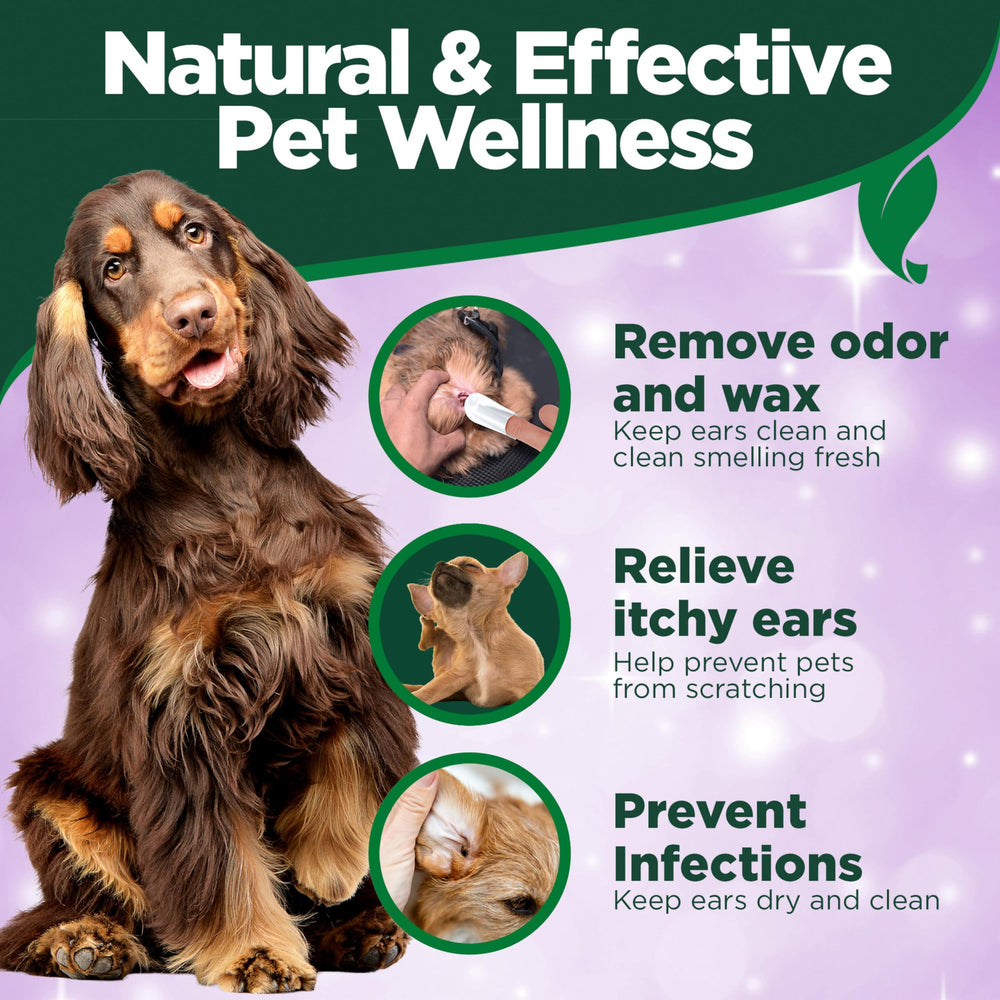 Used wipe being disposed after treatment for hygienic ear care