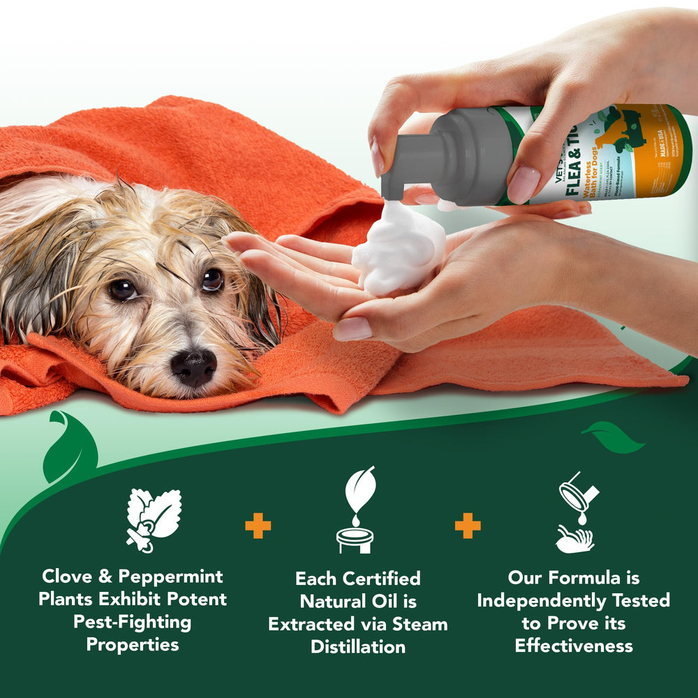 Eugenol from clove in Vet's Best natural blend