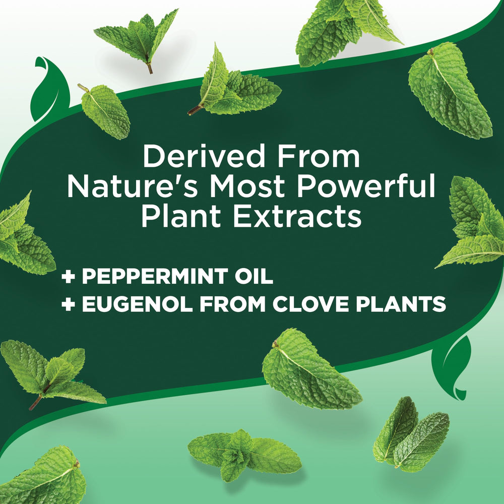Eugenol from clove visual indicating natural pest-repelling ingredients.