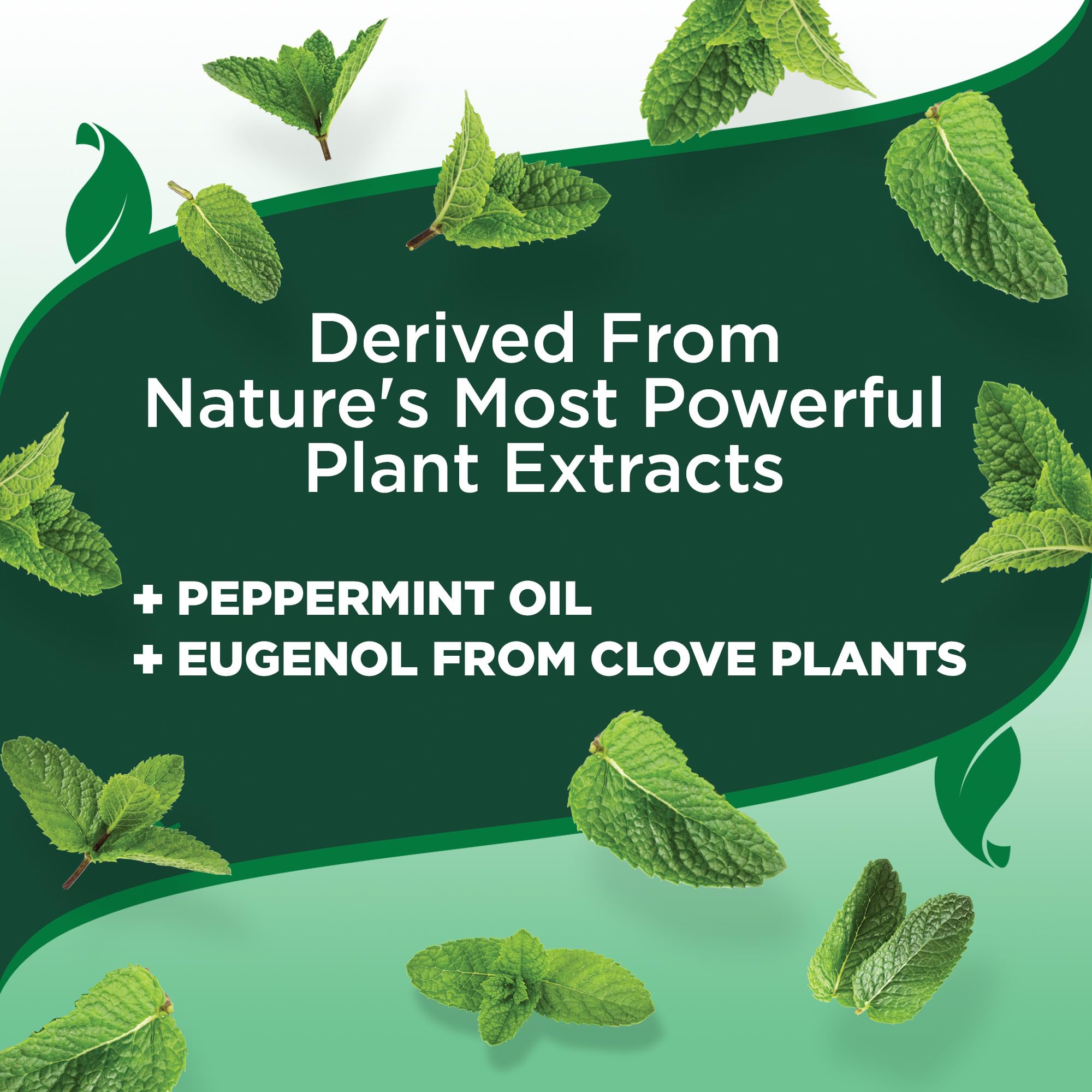 Plant-based formula details from Vet’s Best included peppermint and cloves