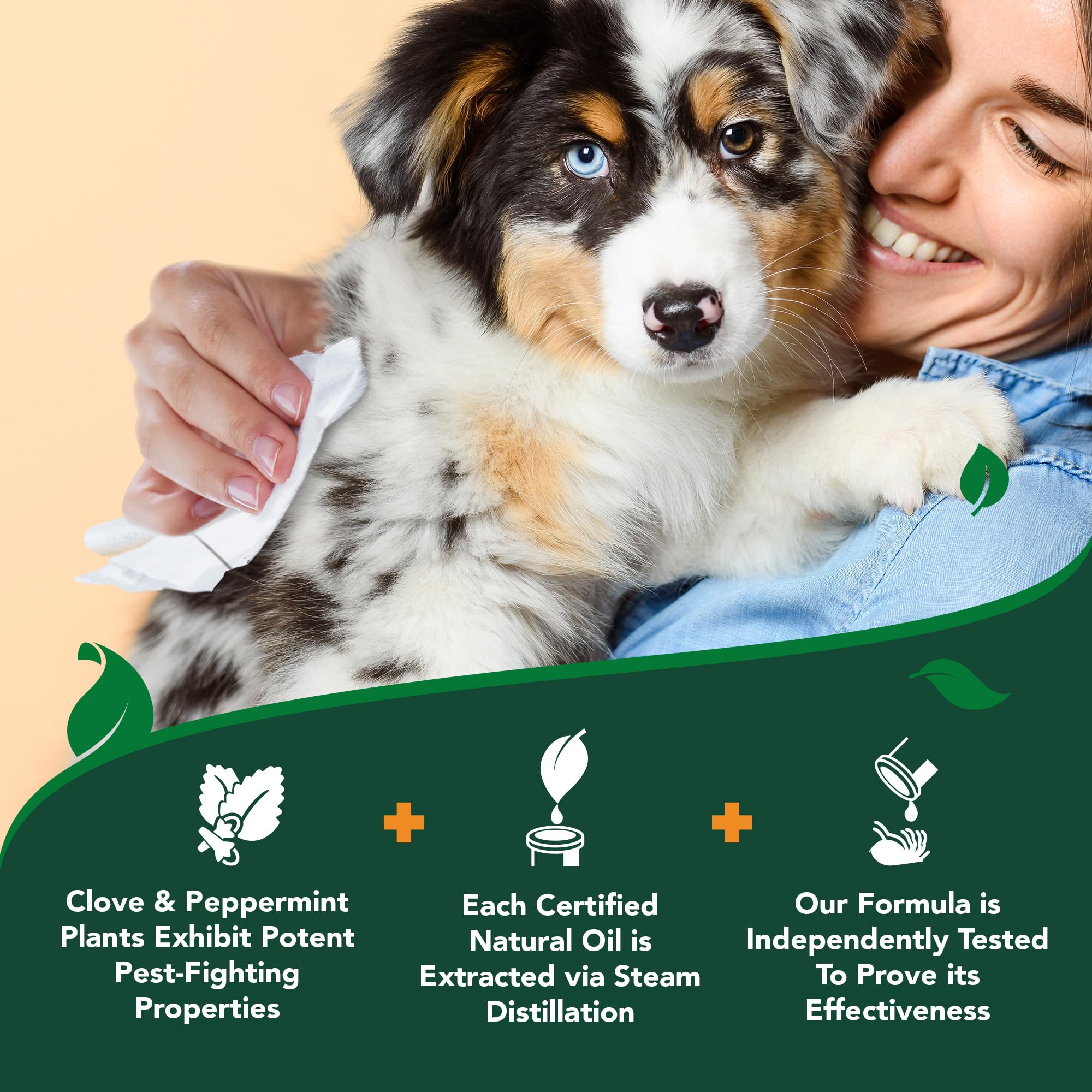 Vet's Best flea wipes applied to a dog's ear area.