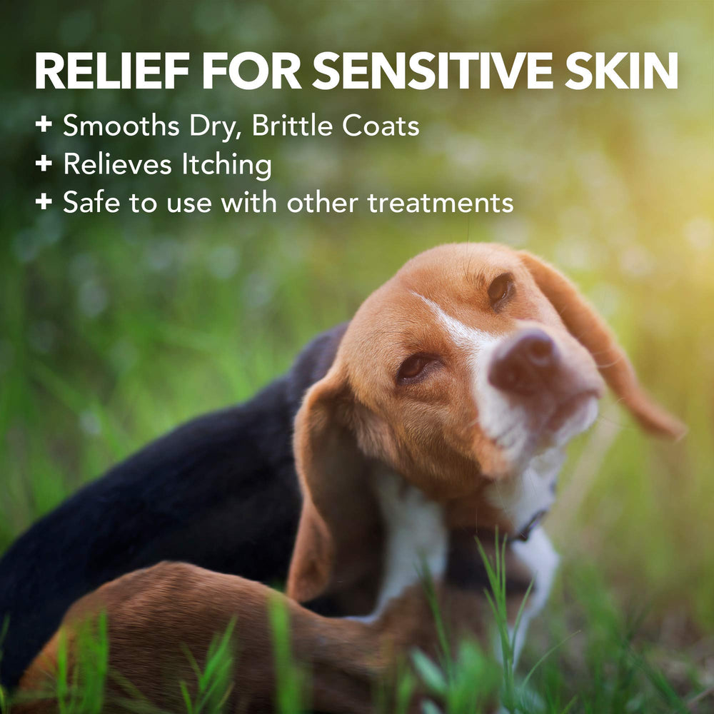 Vet's Best hypo-allergenic dog shampoo bottle with easy-rinse formula.