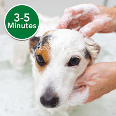 Vet's Best oatmeal shampoo being applied to coat for cleansing and moisture.