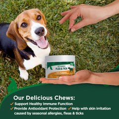 Packaging of Vet's Best flea and tick chews demonstrates USA-made quality