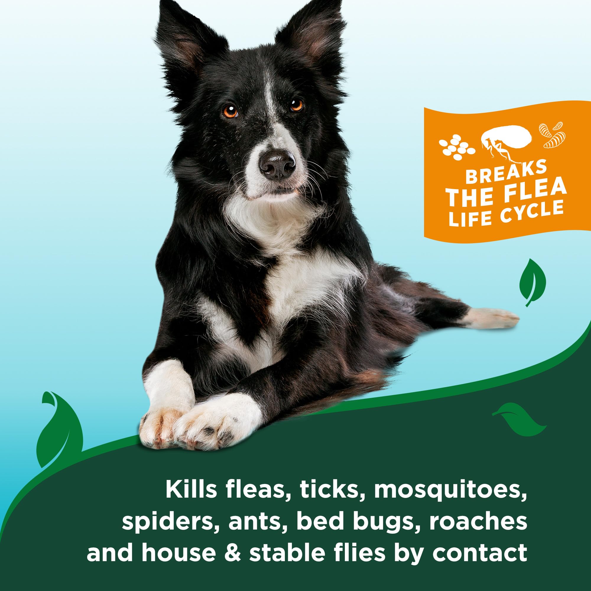 Vet's Best spray safe on bedding and carpets to reduce pests