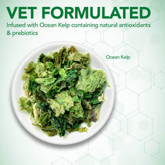 Vet's Best Probiotic Soft Chews bag label notes CFU and strains