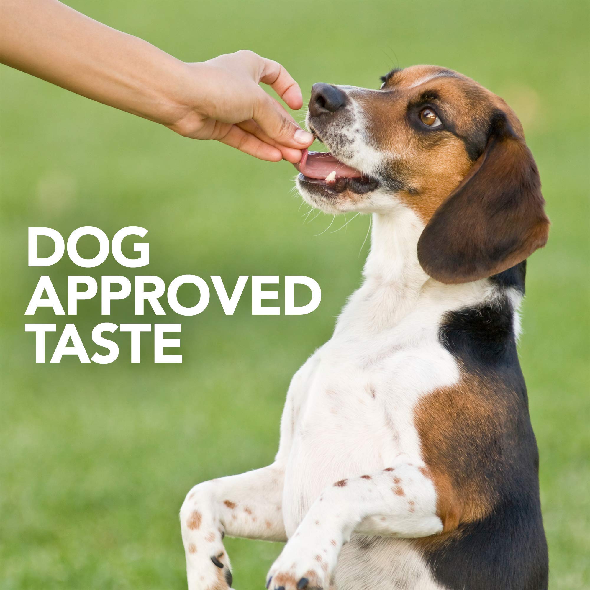 Close-up of Vet's Best Probiotic Soft Chews label shows chicken flavor