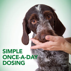 Dog enjoying Vet's Best Probiotic Soft Chews during a meal