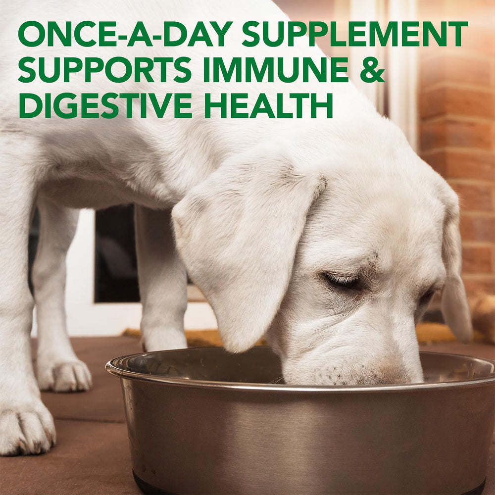 Vet's Best Probiotic Soft Chews dog treat on counter for daily use