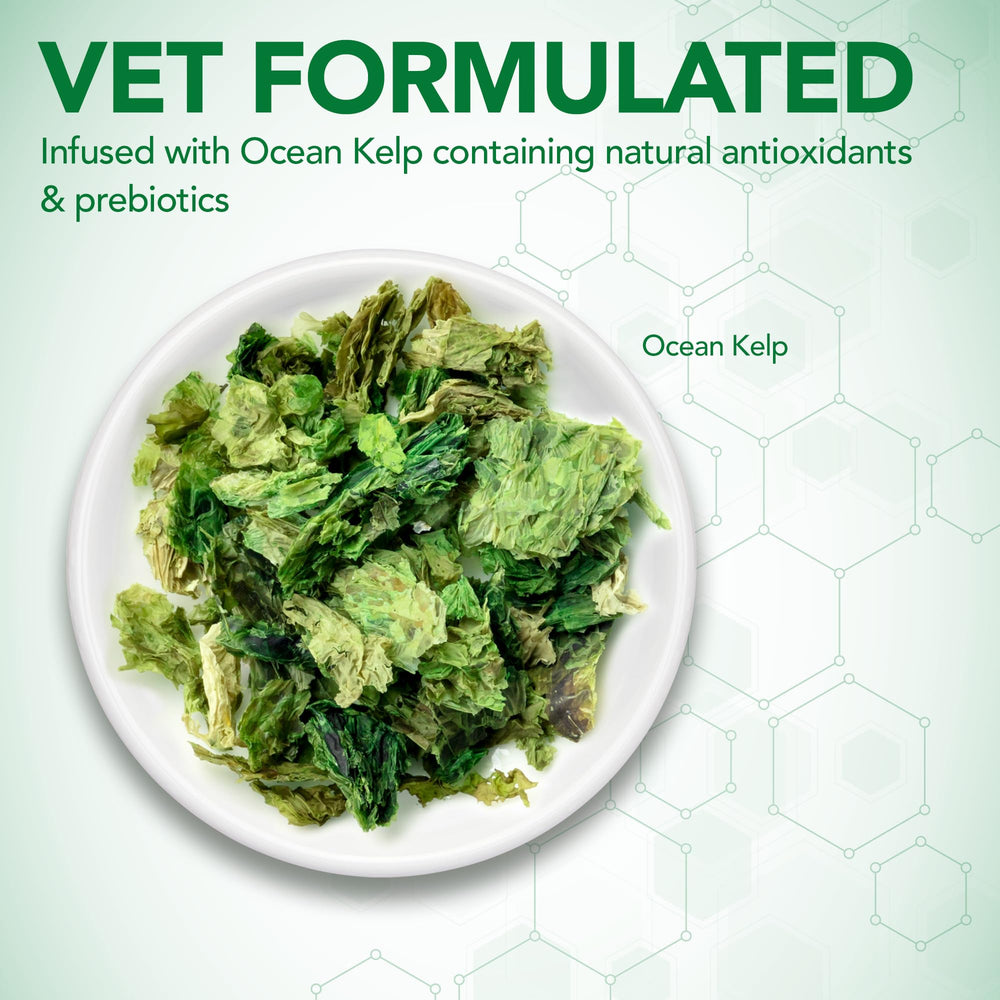 Vet's Best Probiotic Soft Chews ocean kelp infusion label close-up