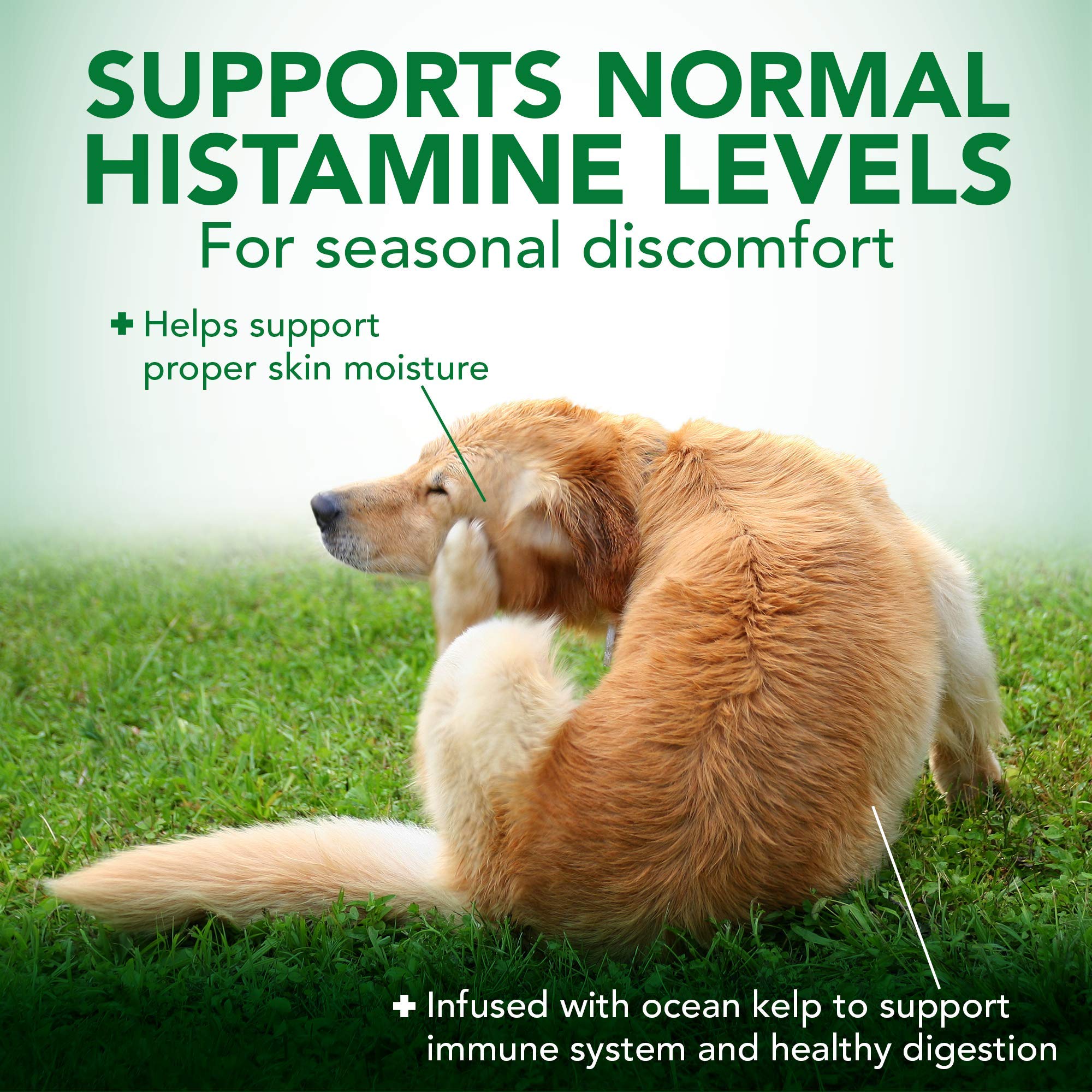 Vet’s Best dog-meal-mix image, convenient daily use during allergy season.
