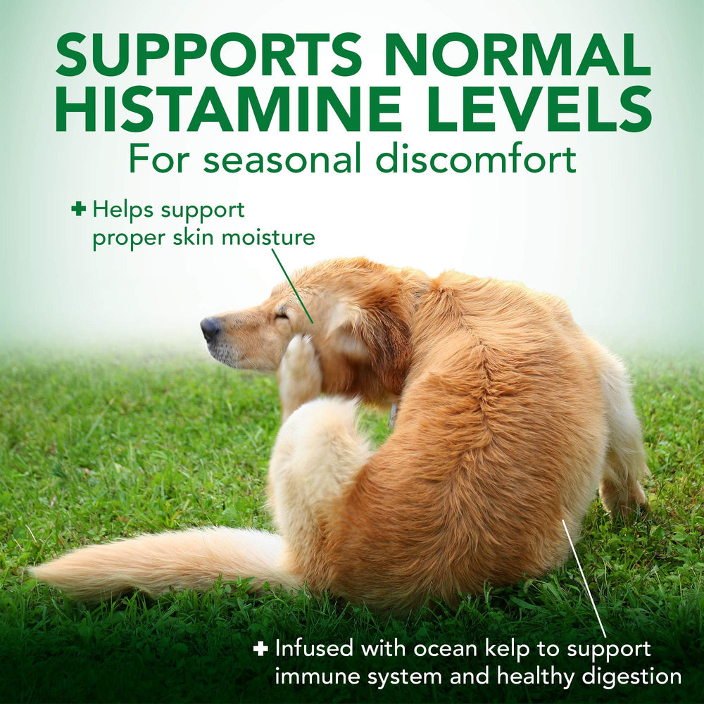 Vet’s Best dog-meal-mix image, convenient daily use during allergy season.
