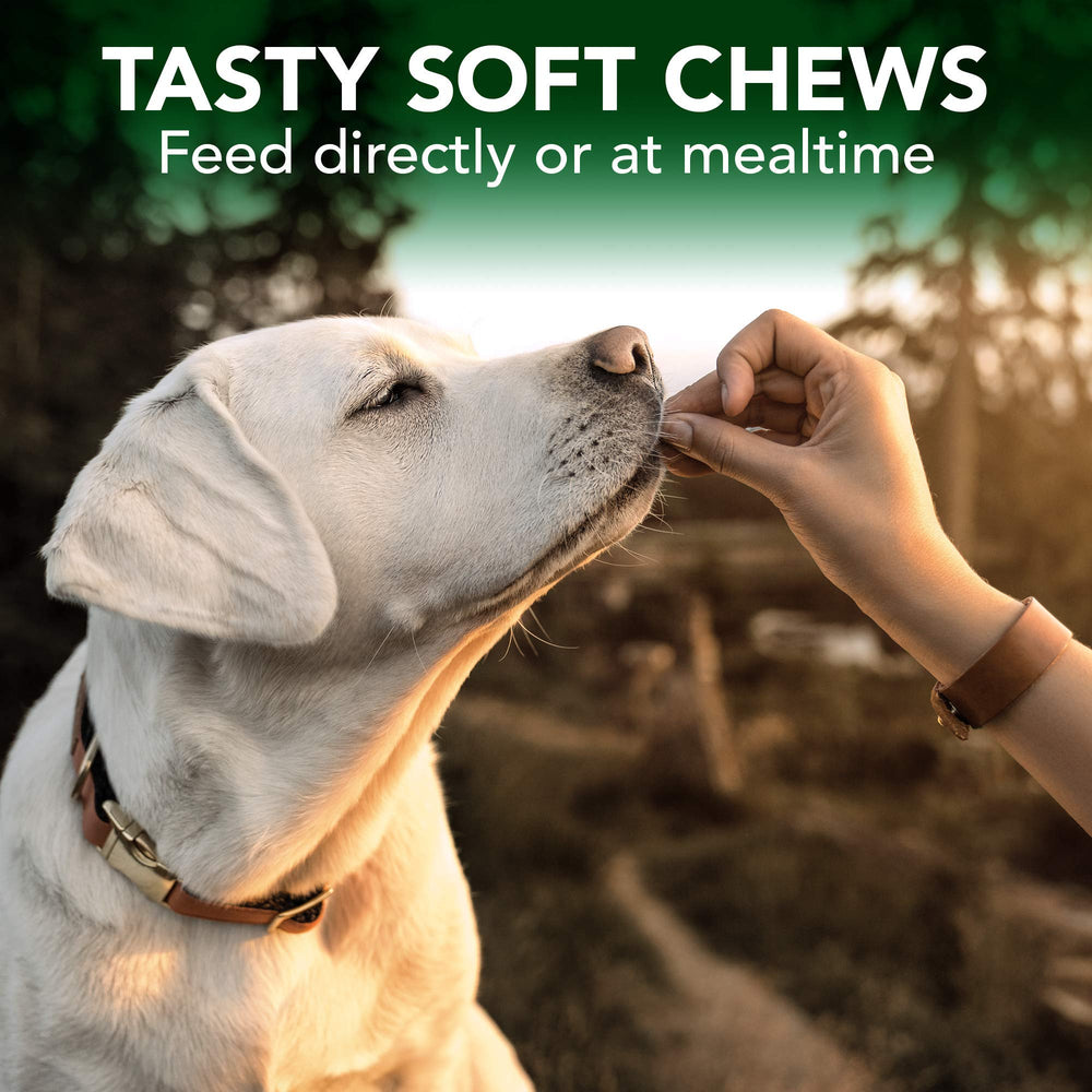 Vet’s Best ingredients nettle leaf image, supporting immune response and skin health.