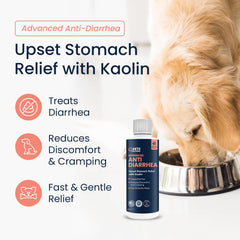 Close-up of Vets Preferred liquid dog medicine for GI support