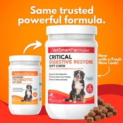 VetSmart Formulas Critical Digestive Restore soft chews close-up texture designed for easy daily digestion support.
