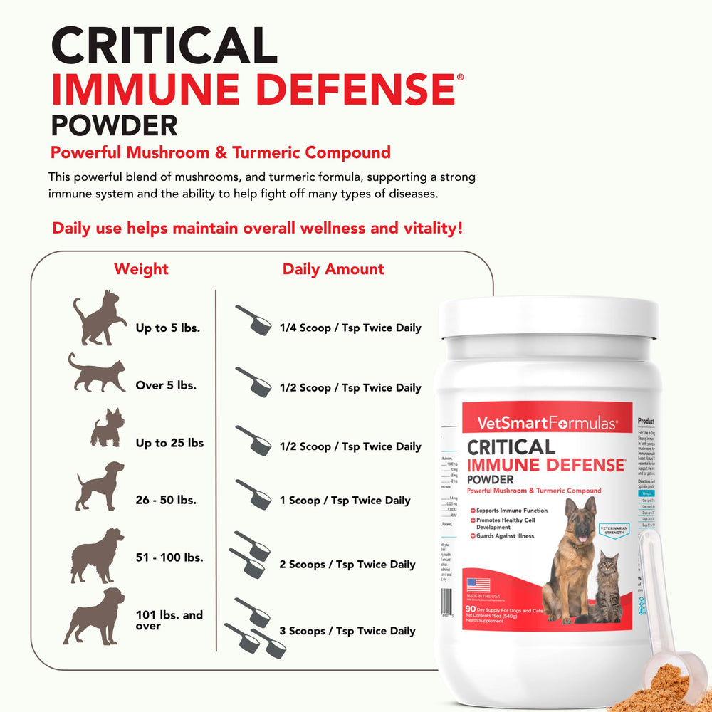 Dog with VetSmart Formulas immune defense dose ready for daily routine.