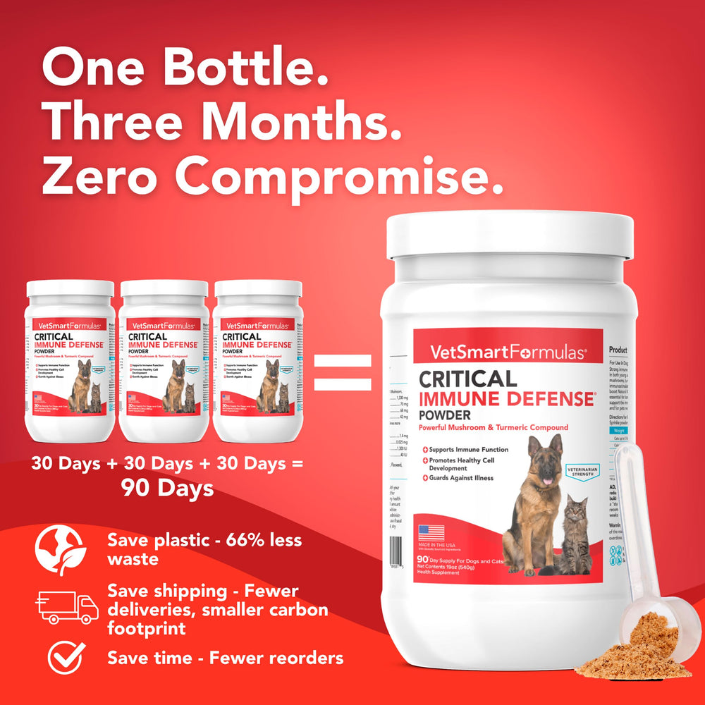 VetSmart Formulas mushroom blend close-up highlights turkey tail and other mushrooms.