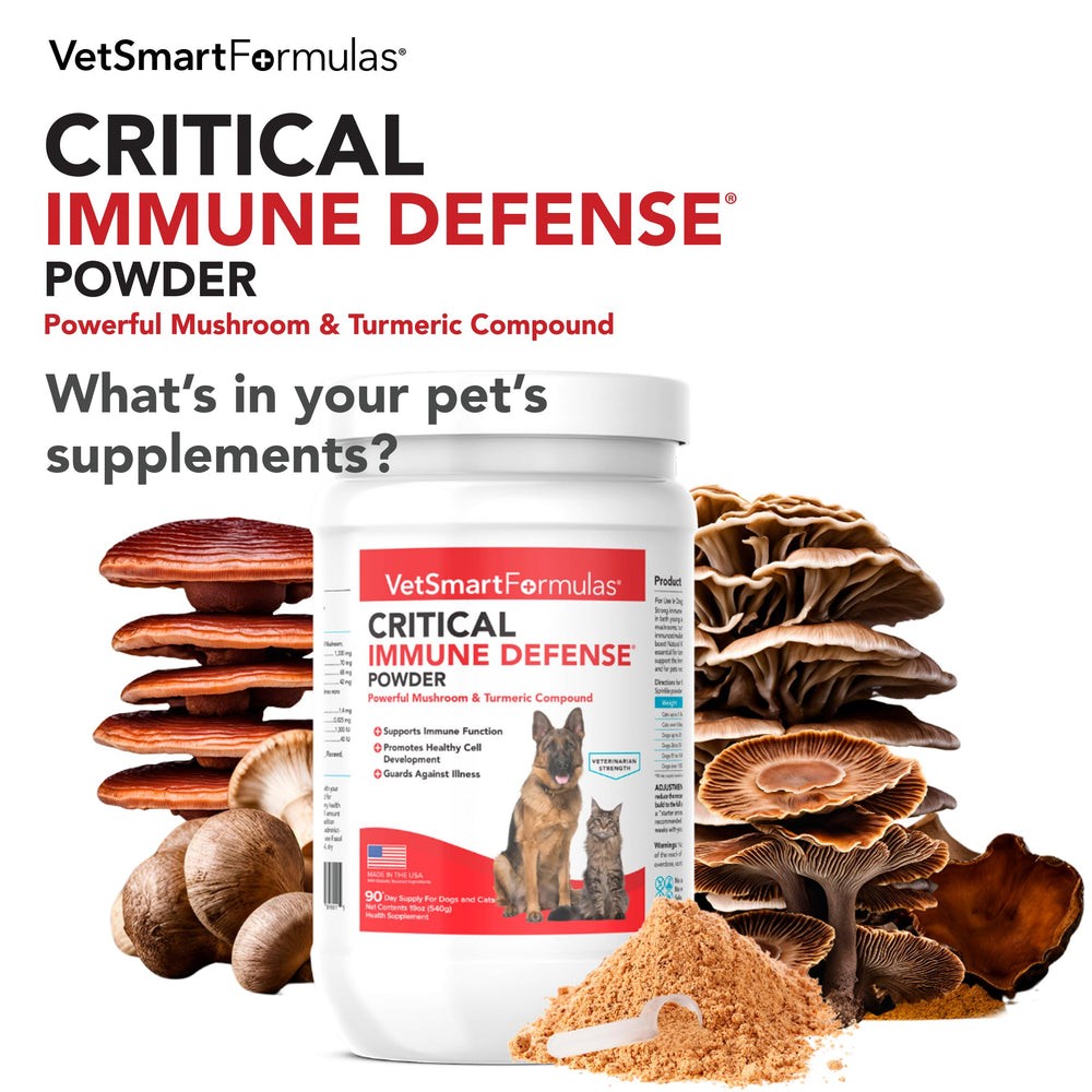 White turmeric extract in VetSmart Formulas bottle emphasizes natural balance.