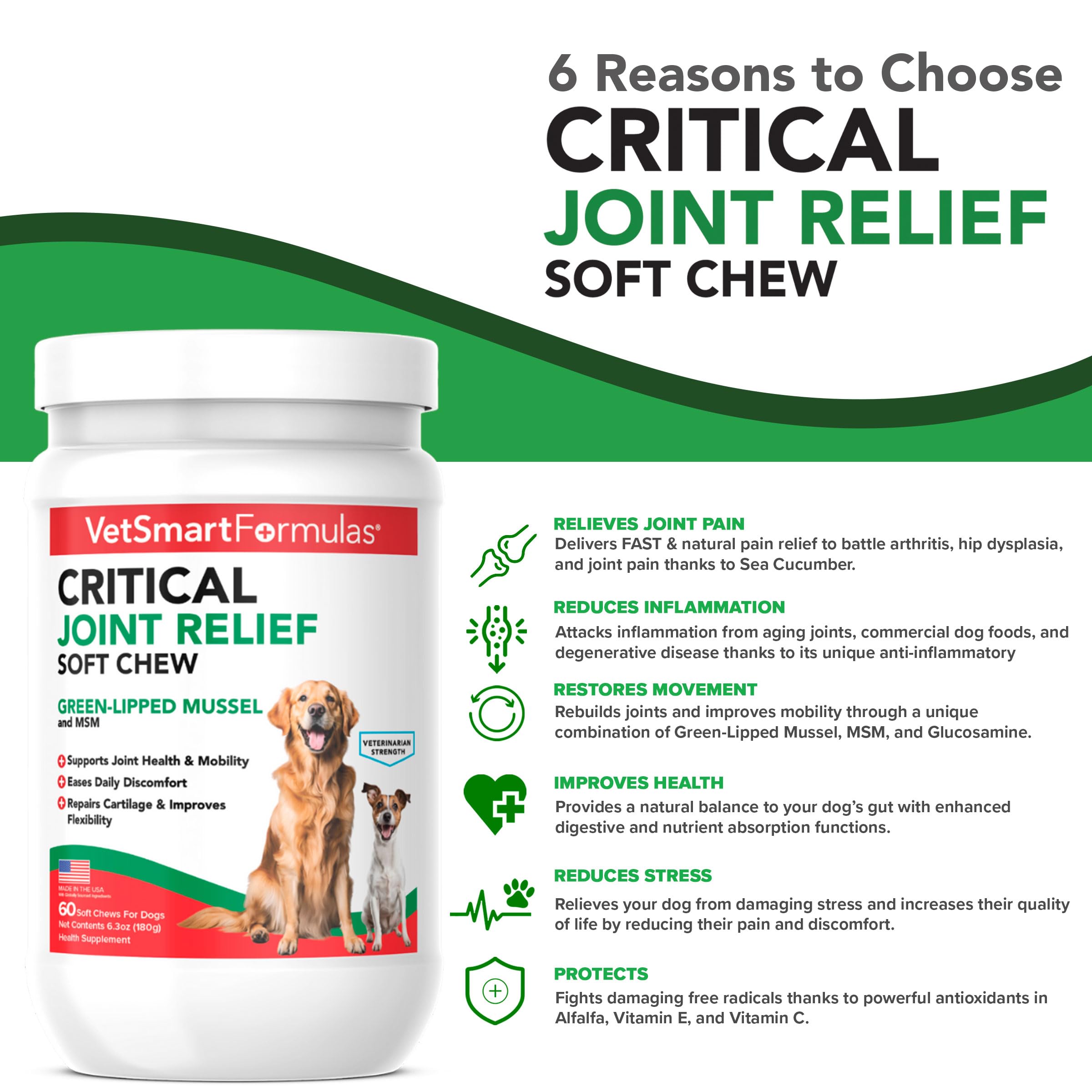 Active dog enjoying a VetSmart Formulas chew during a play session.