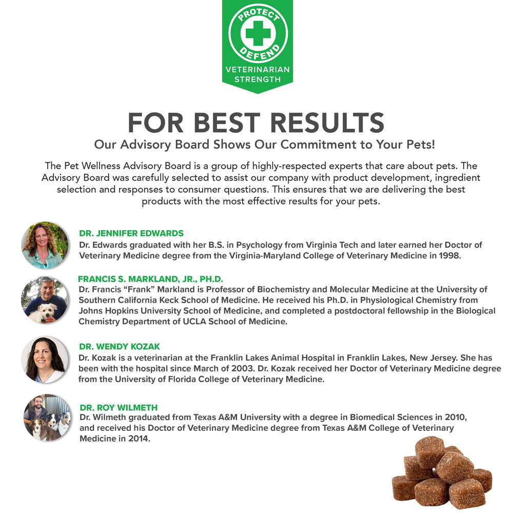 Sea cucumber component in VetSmart Formulas supports cartilage and flexibility.