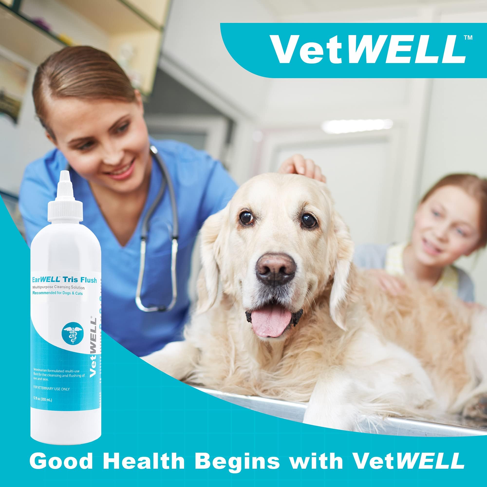 Dog using VetWELL ear cleaner at home to reduce odor