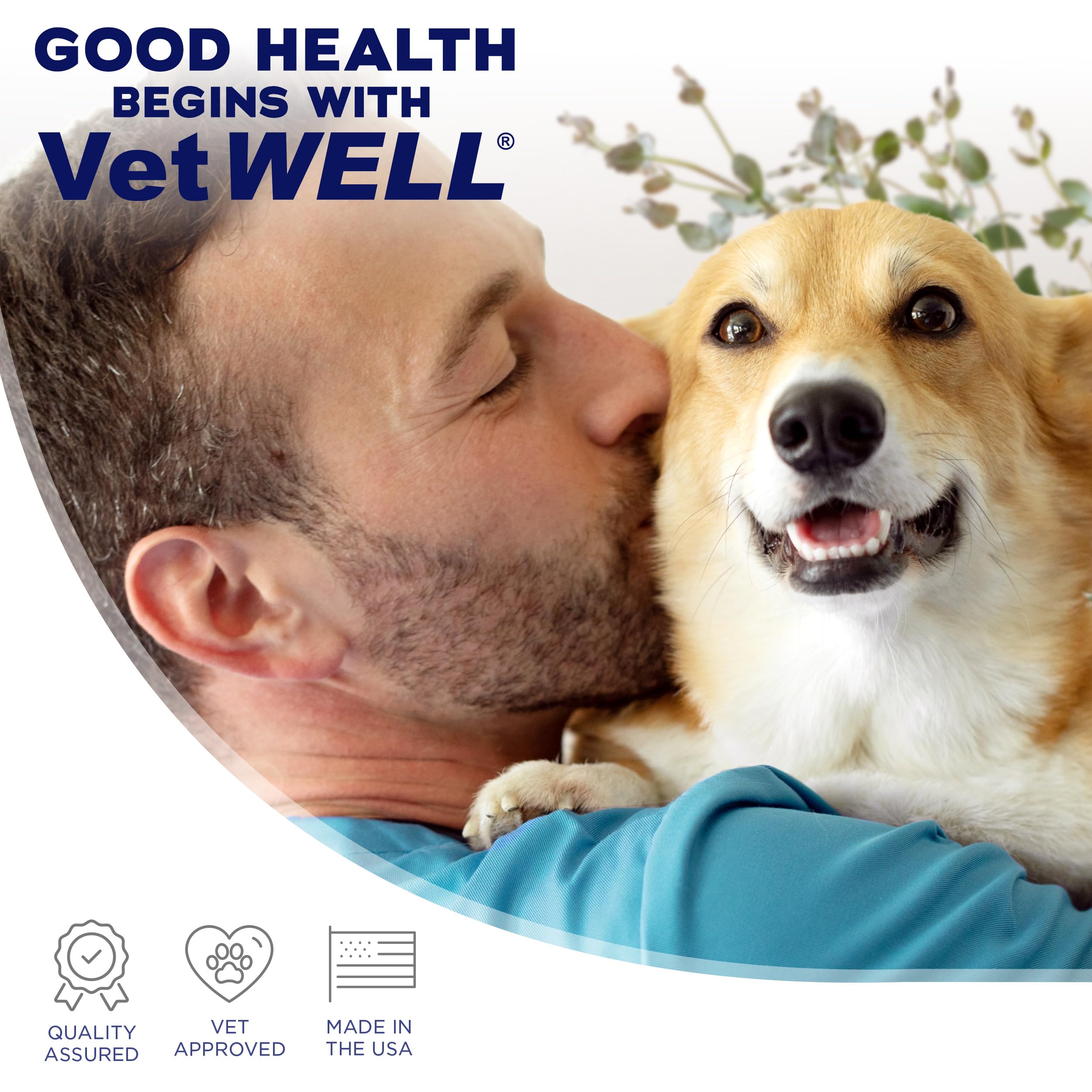 Brand reveal: VetWELL hydrocortisone spray, trusted by vets.