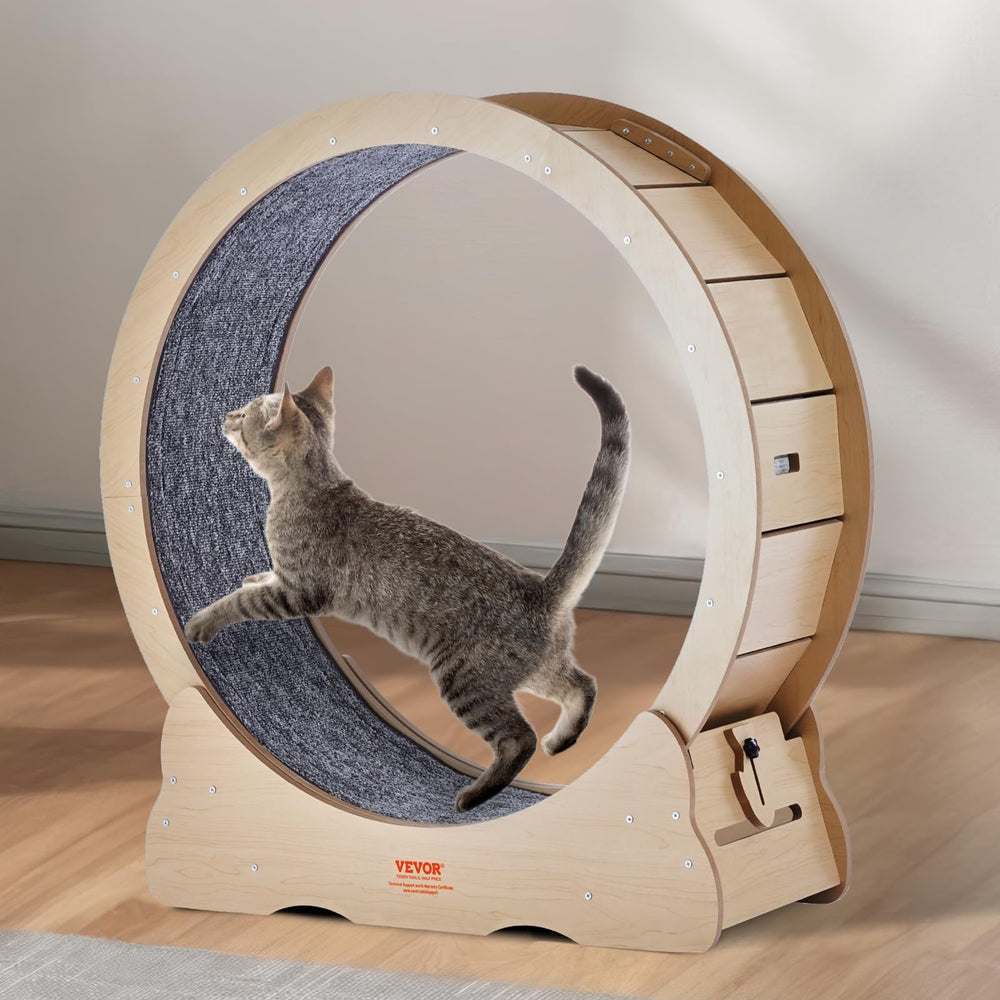 Locking mechanism keeps the wheel steady during activity.
