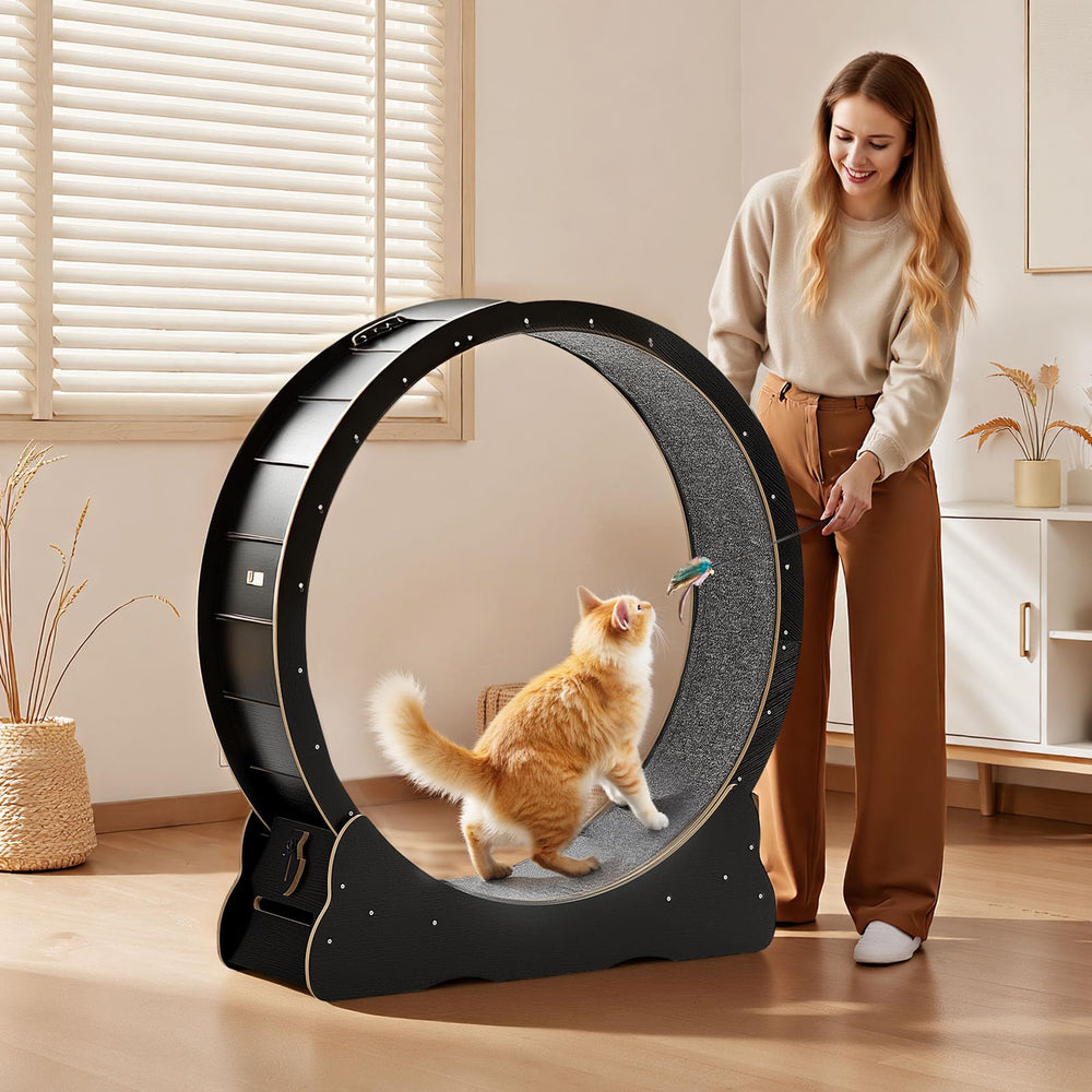 VEVOR soft track mat reduces friction to protect paws.