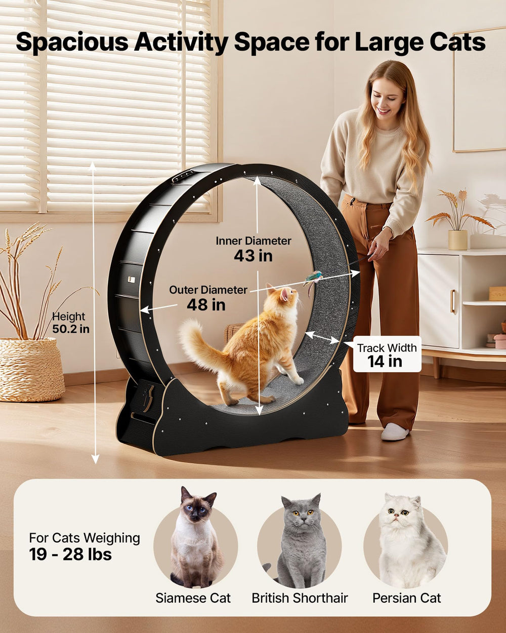 VEVOR cat exercise wheel shows spacious track for medium to large cats.