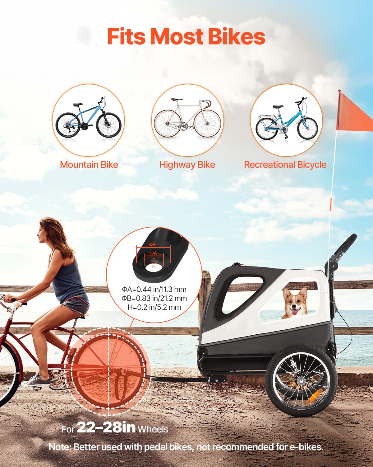 VEVOR dog bike trailer with 100 lb capacity for larger dogs.