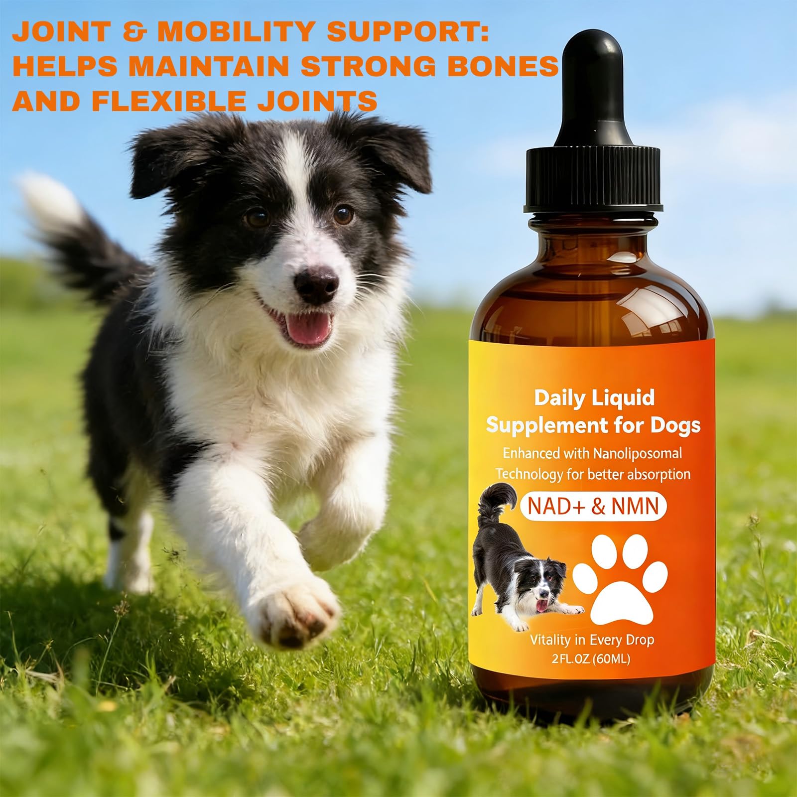 VEYRIC dog joint mobility drops pictured with a walking dog for comfortable activity.