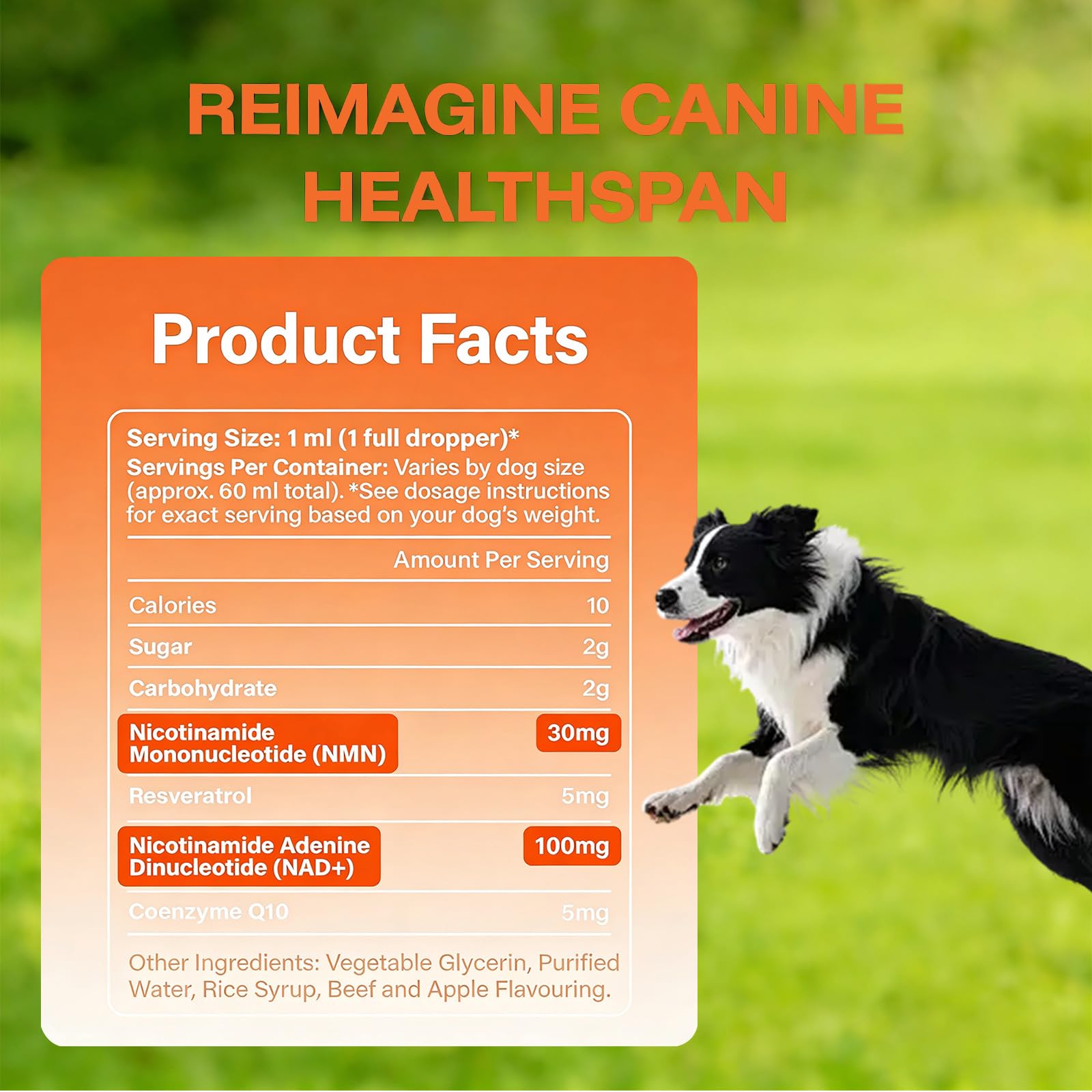 VEYRIC dog liquid drops being added to food for convenient daily health support.