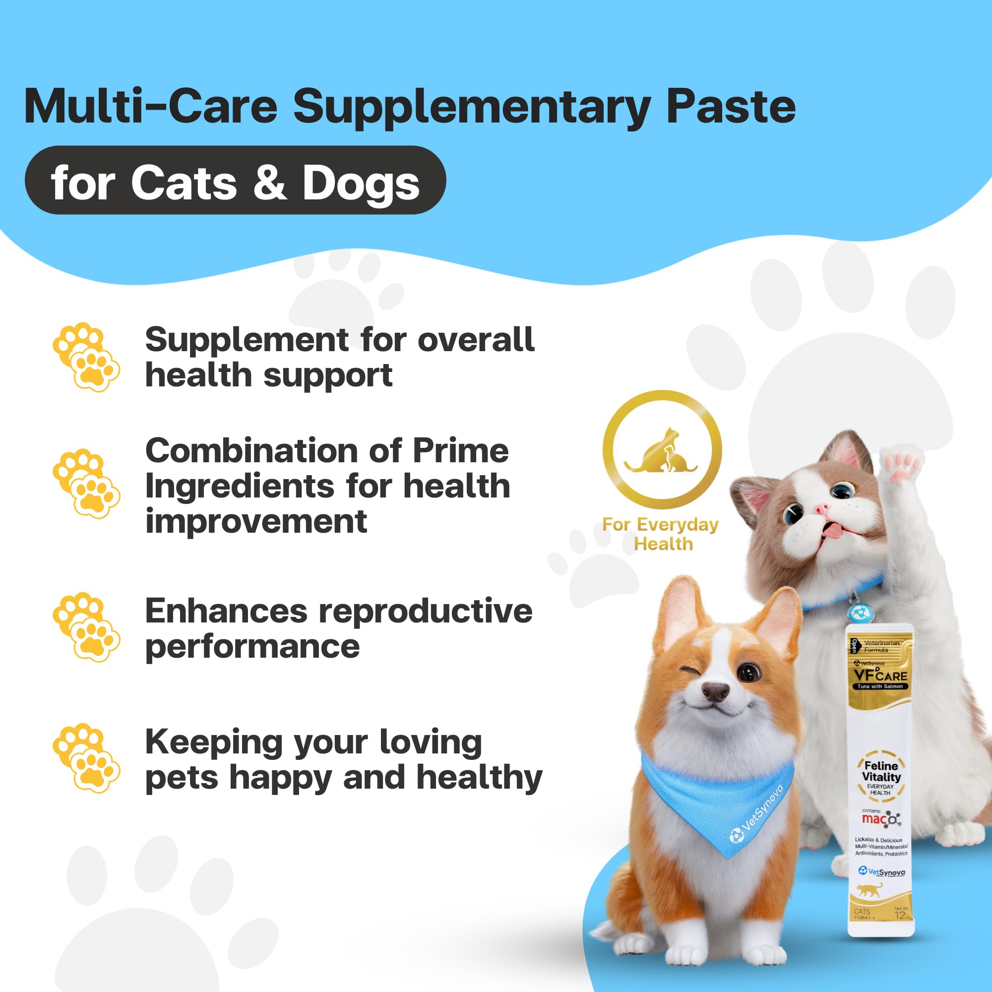 VFCARE Feline Vitality daily vitamin paste presented as a tasty cat treat.