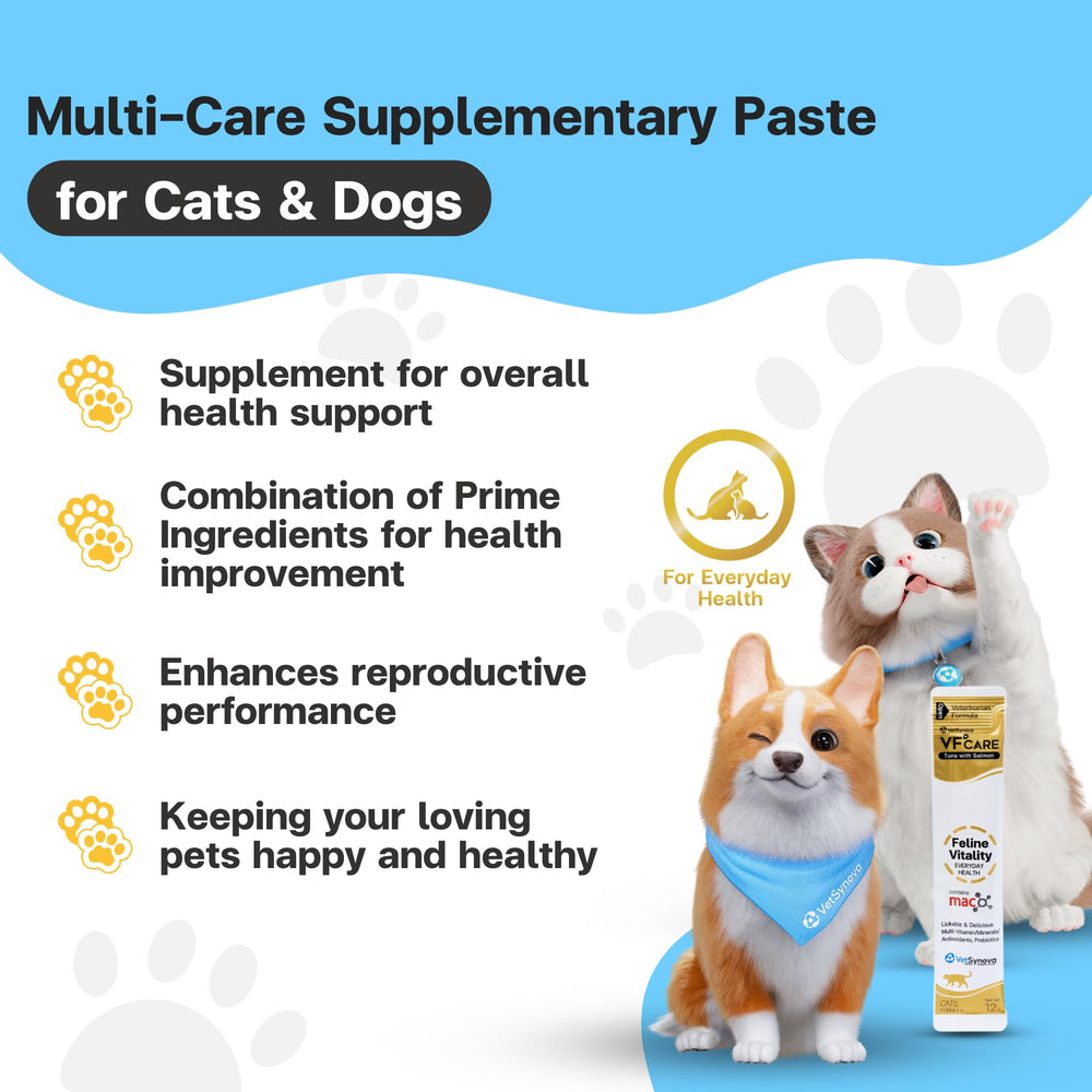 VFCARE Feline Vitality daily vitamin paste presented as a tasty cat treat.